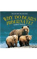 Why Do Bears Hibernate?