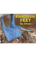 Fantastic Feet Up Close: (Animal Bodies Up Close)