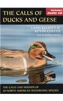 Calls of Duck and Geese