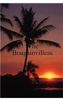The Bougainvilleas