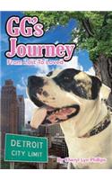 Gg's Journey: From Lost to Loved