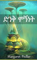 ድንቅ ሞኝነት