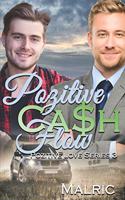 Pozitive Cash Flow