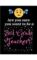 Are you sure you want to be a 3rd Teacher?: (Teacher Notebook)