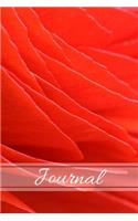 Journal