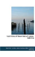 Fossil Fishes of Diatom Beds of Lompoc, California