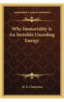 Why Immortality Is an Invisible Unending Energy
