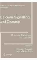 Calcium Signalling and Disease