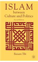 Islam Between Culture and Politics