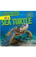 The Life Cycle of a Sea Turtle