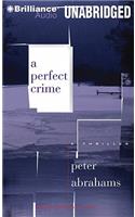 A Perfect Crime