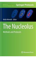 Nucleolus