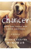 Chancer