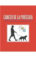 Cáncer De La Próstata