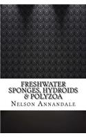 Freshwater Sponges, Hydroids & Polyzoa