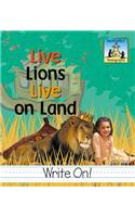 Live Lions Live on Land