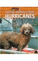 Saving Animals from Hurricanes: (Rescuing Animals from Disasters)