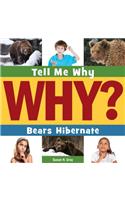 Bears Hibernate
