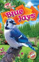 Blue Jays: (Backyard Birds)