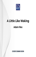 Little Like Waking