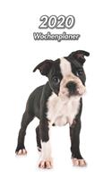 2020 Wochenplaner: Boston Terrier Welpe - 107 Seiten, 15cm x 23cm ca. A5 - Taschenkalender - Terminplaner - Tagebuch - Terminkalender - Organizer für Hundeliebhaber