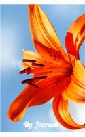 My Journal: Day Lily Design - A 6 x 9 100 page journal to record all of the amazing things that happen in your life.