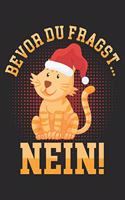 Bevor du fragst... NEIN!: Notizbuch/Tagebuch/Organizer/120 Linierte Seiten/ 6x9 Zoll