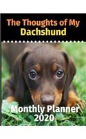 The Thoughts of My Dachshund