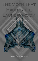 The Moth That Haunts the Laundry Room