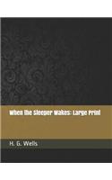 When the Sleeper Wakes: Large Print