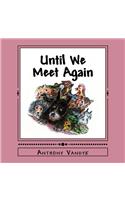 Until We Meet Again
