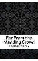 Far from the Madding Crowd