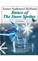 Dance of the Snow Sprites: For Orchestra from the ballet "The Snow Queen" in Three Acts(The Snow Queen Ballet)