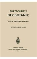 Bericht Über Das Jahr 1956