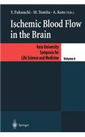 Ischemic Blood Flow in the Brain
