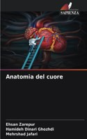 Anatomia del cuore