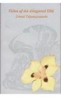 Vision of the Bhagavad Gita