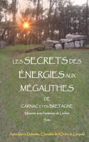 LES SECRETS DES ÉNERGIES AUX MÉGALITHES DE CARNAC ET EN BRETAGNE - Mesurer avec l'antenne de Lecher - Suite