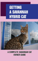 Getting A Savannah Hybrid Cat: A Complete Savannah Cat Owner Guide: Train And Play With Your New Savannah Kitten
