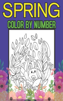 Spring Color By Number