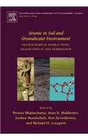 Arsenic in Soil and Groundwater Environment