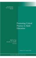 Promoting Critical Practice in Adult Education