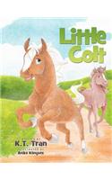 Little Colt