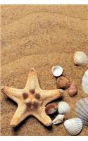 Journal: Seashell Sand Beach - Lined notebook, composition book, diary, work book, study guide, traveling, shopping list, notepad