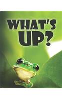 What's Up?
