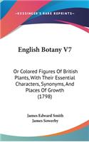 English Botany V7