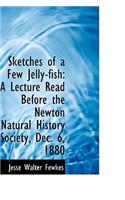 Sketches of a Few Jelly-fish