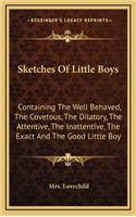 Sketches of Little Boys: Containing the Well Behaved, the Covetous, the Dilatory, Thecontaining the Well Behaved, the Covetous, the Dilatory, the Attentive, the Inattentive,