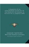 Narrative Of An Extraordinary Escape Out Of The Hands Of The Indians, In The Gulf Of St. Lawrence (1905)