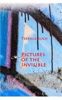 Pictures of the Invisible